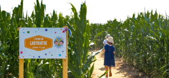 Dédales d'Opale Côte d'Opale activité labyrinthe originale insolite parents enfants