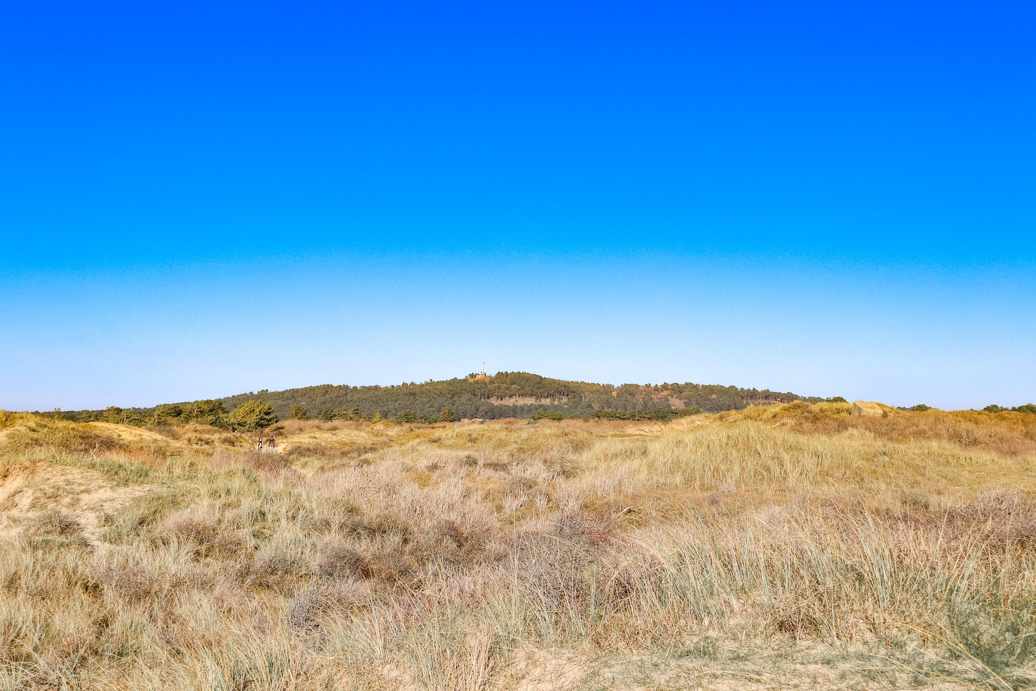 Balade Mont Saint-Frieux Côte d'Opale Neufchâtel-Hardelot