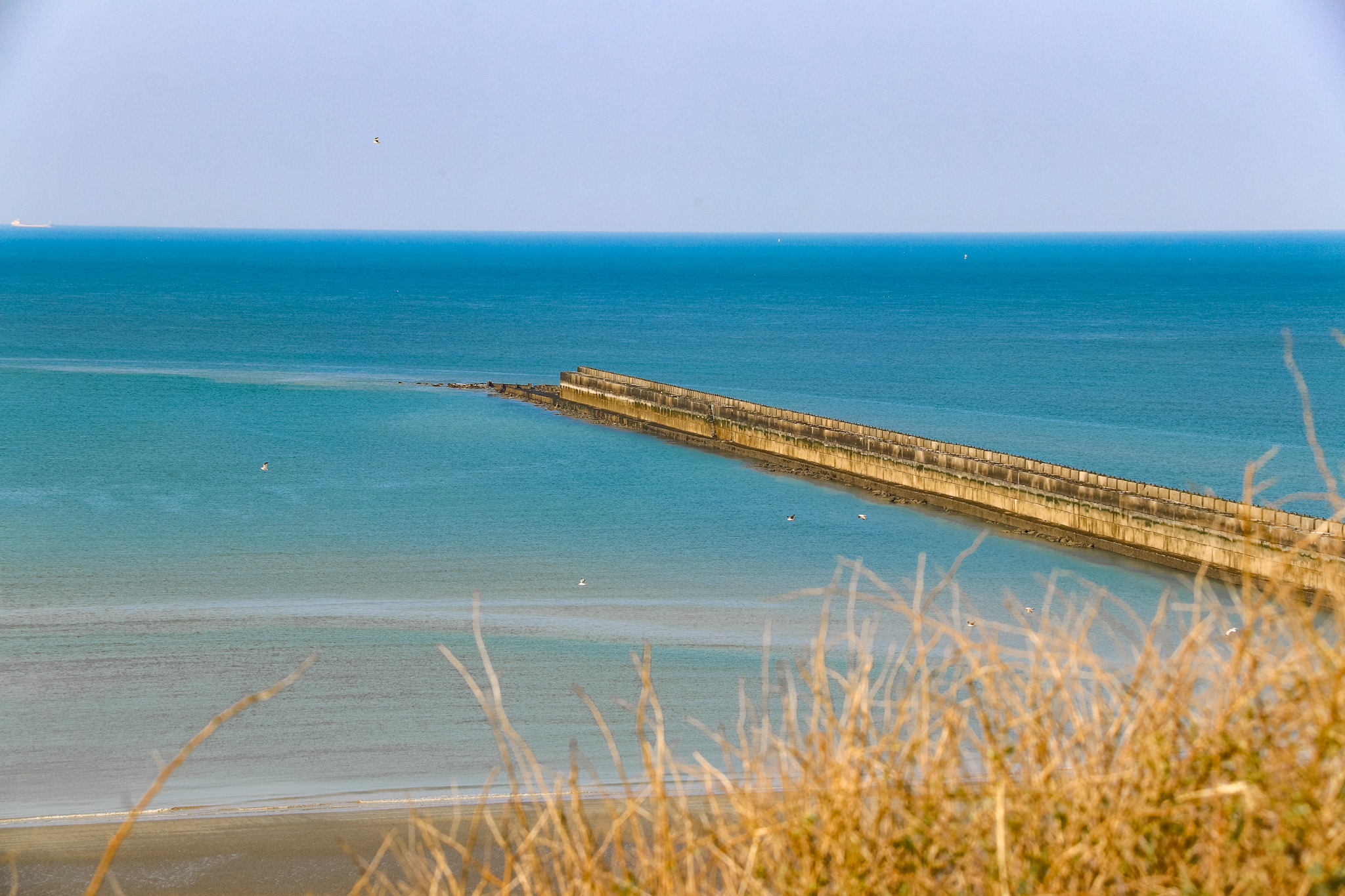 Balade La Pointe de la Crèche Côte d'Opale Wimereux