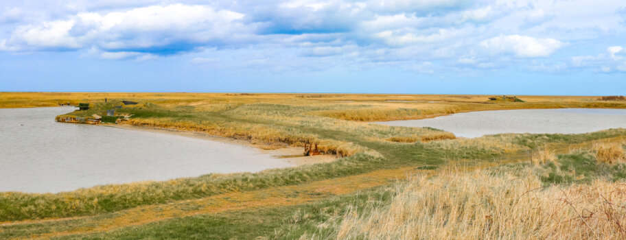 Balade plage des hemmes de Marck Côte d'Opale