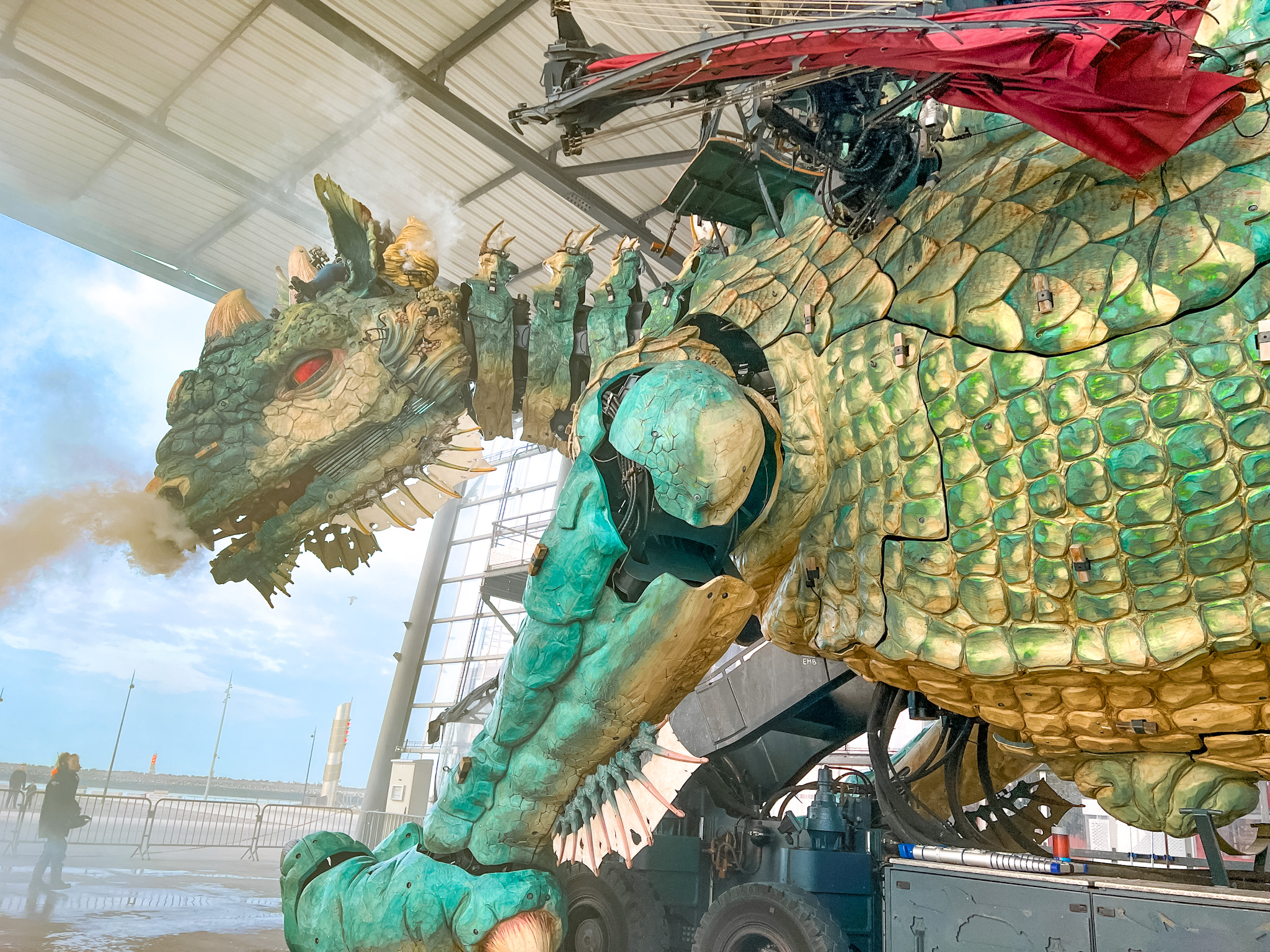 Activité balade sur le dos d'un dragon Calais Côte d'Opale