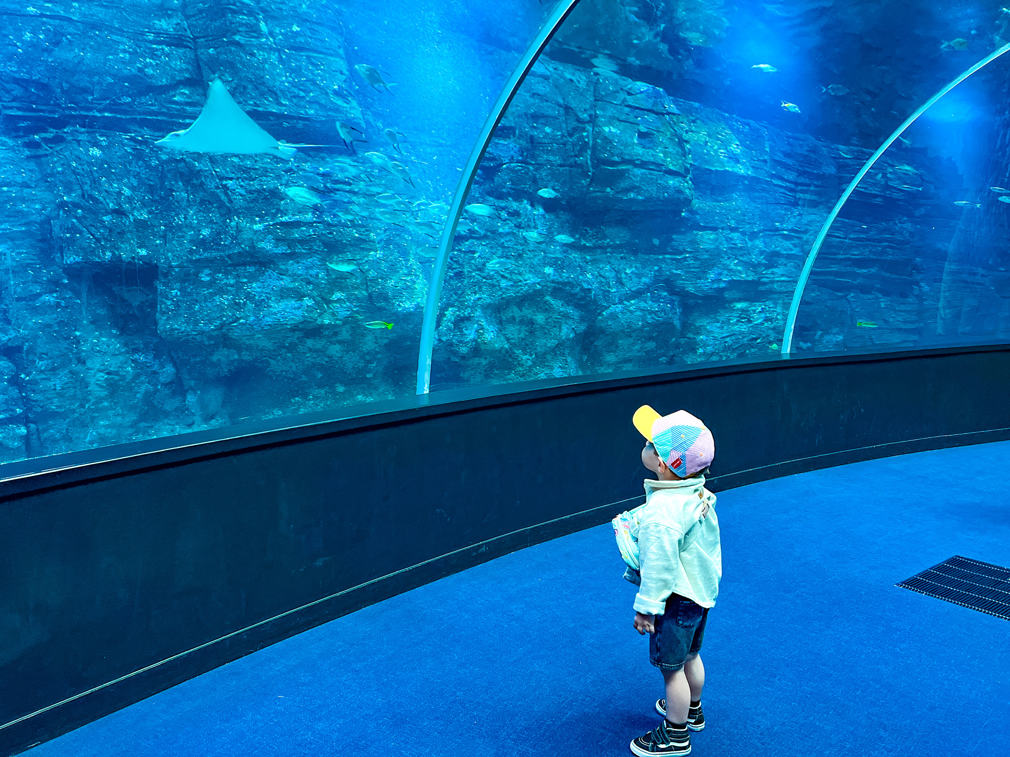 Nausicaa aquarium visite côte d'opale weekend activité famille
