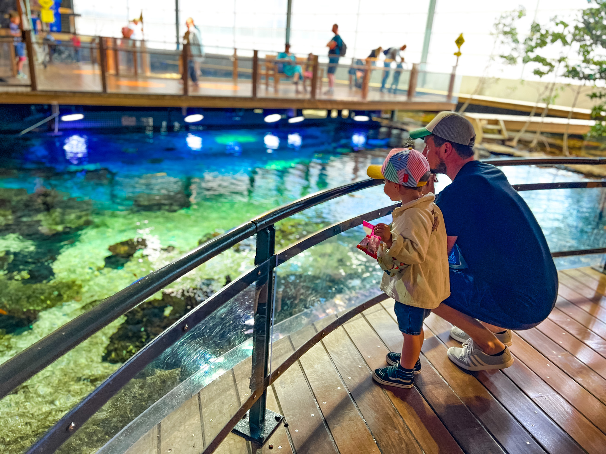 Nausicaa aquarium visite côte d'opale weekend activité famille