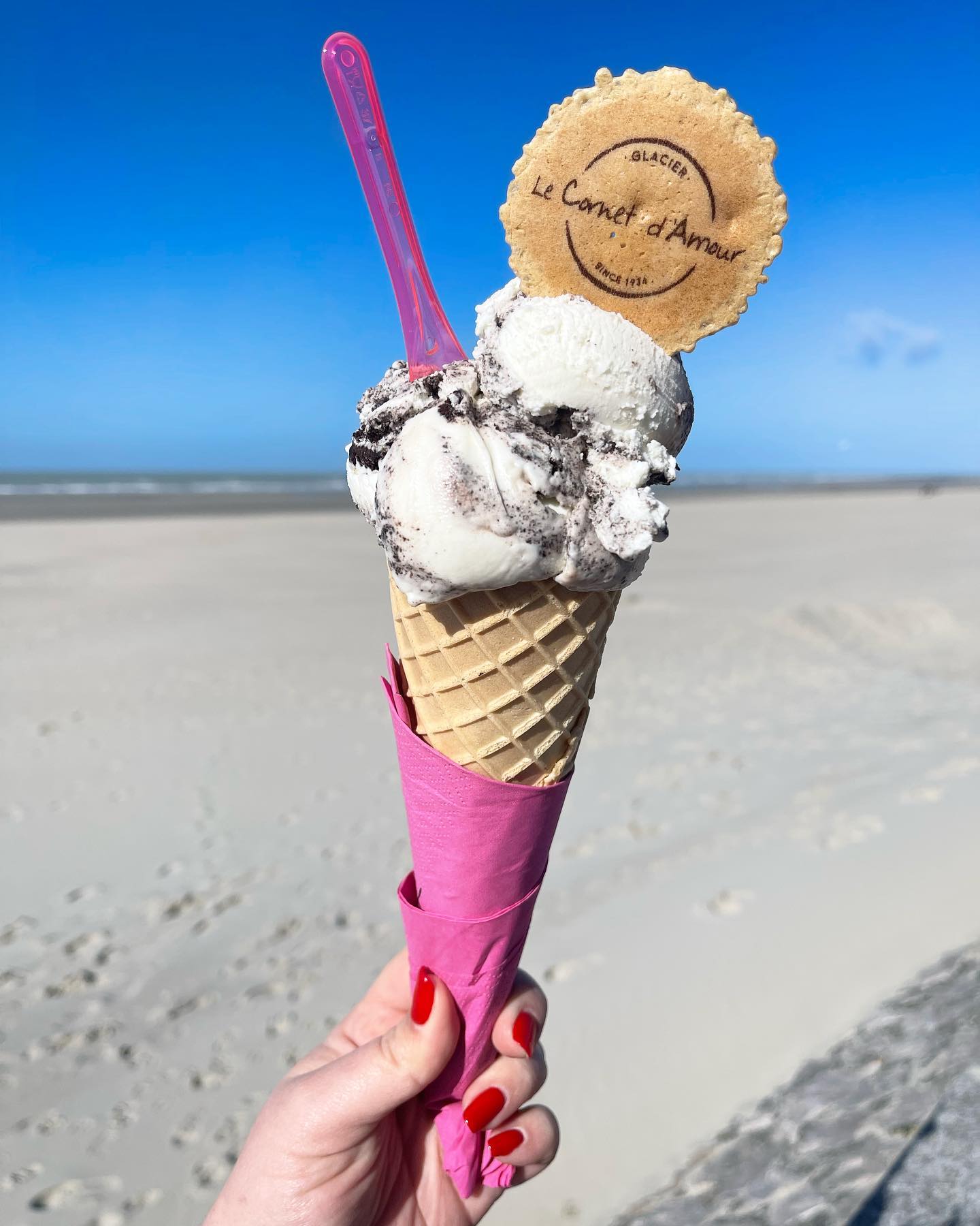 Le d'Amour Berck sur Mer Jolie Côte